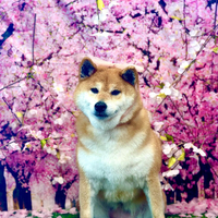 画像3467