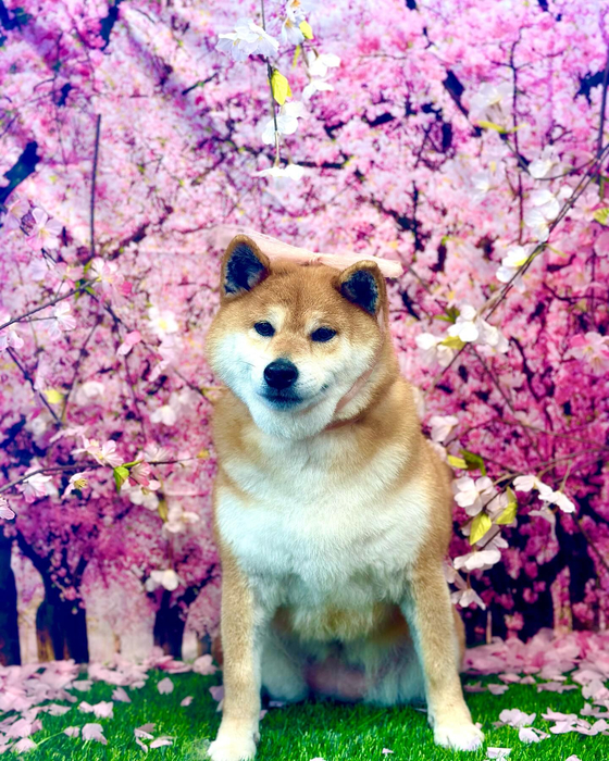 画像3467