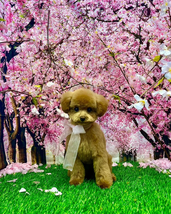 画像3507