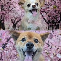 画像3586