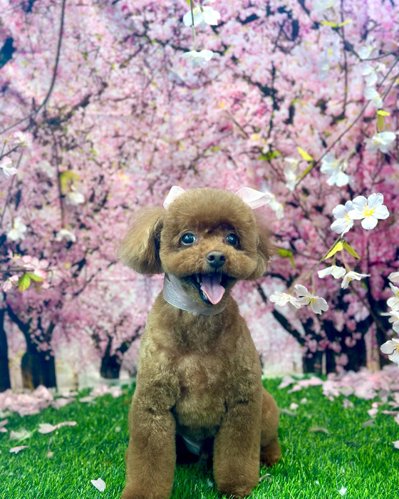 画像3602