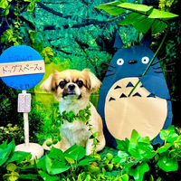 画像3826