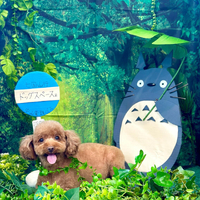 画像3830