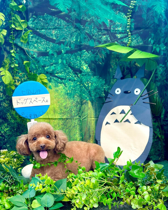 画像3830