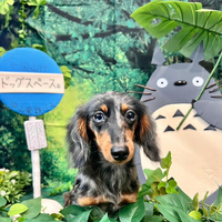 画像3834