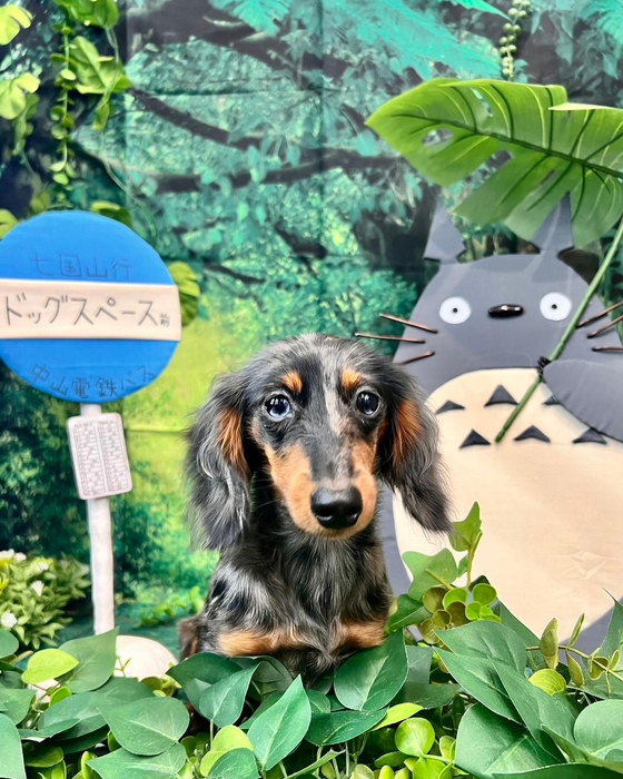 画像3834