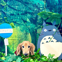 画像3837