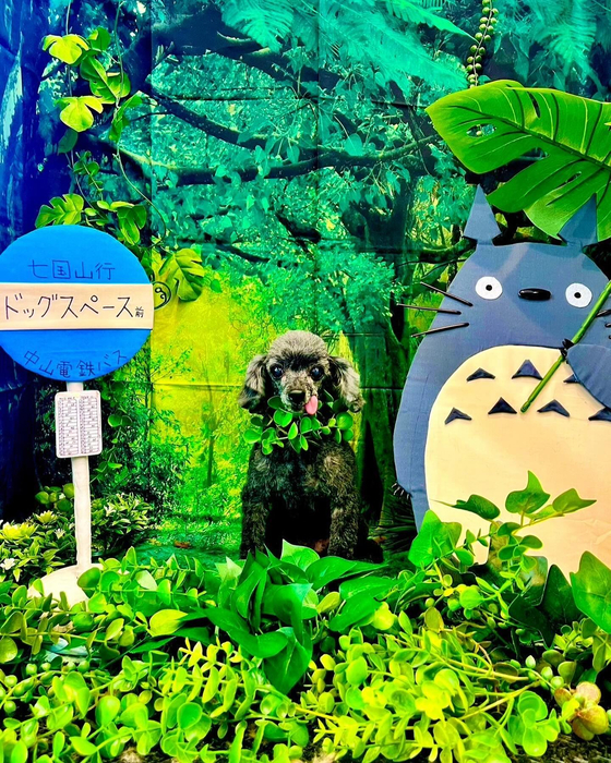 画像3855