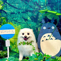 画像3865
