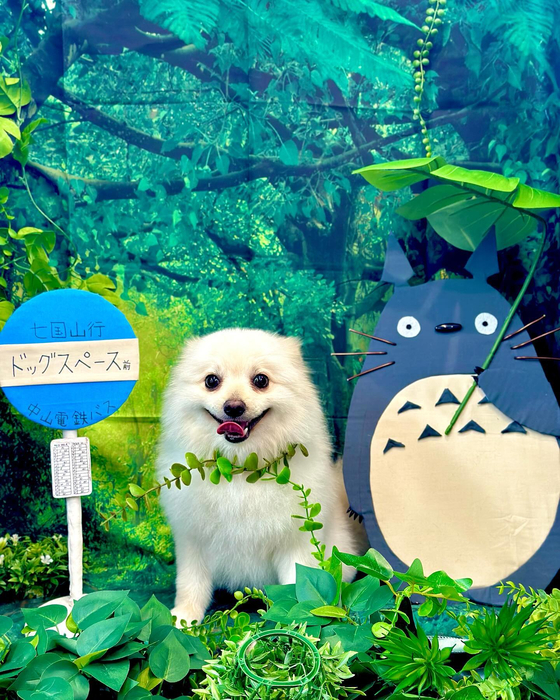 画像3865