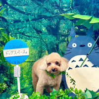 画像3899