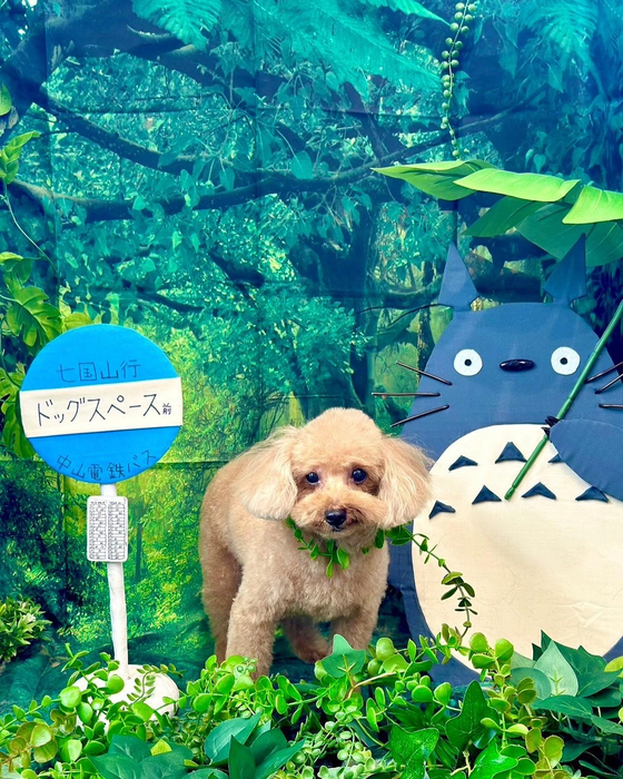 画像3899