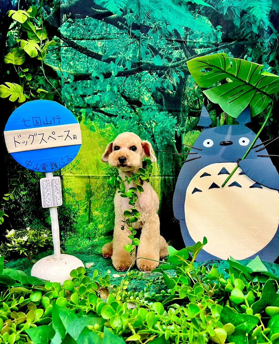 画像3910