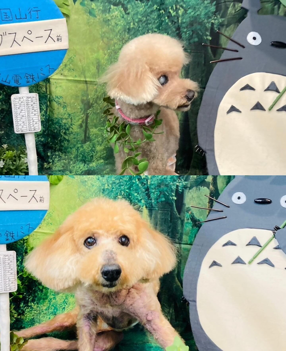 画像3912