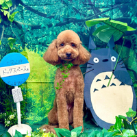 画像3927