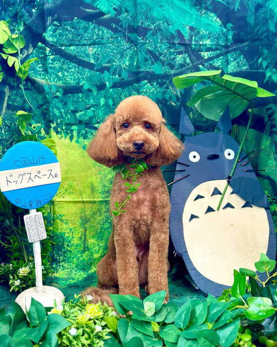 画像3927