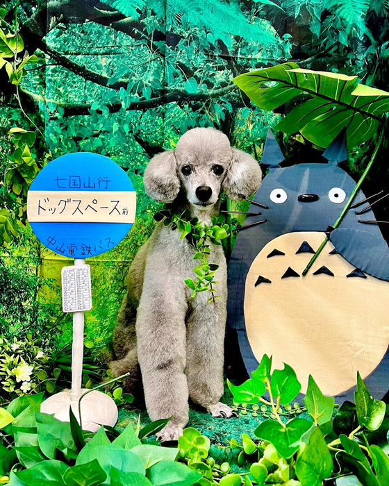 画像3930