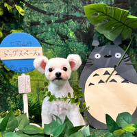 画像3956