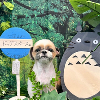 画像3969