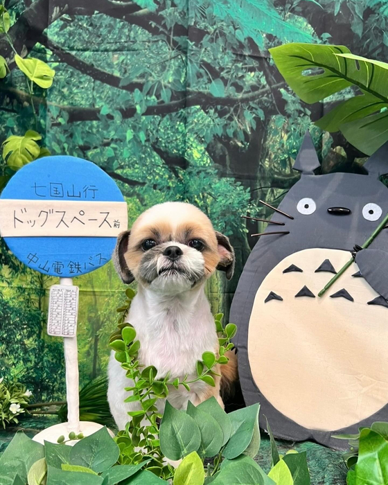 画像3969
