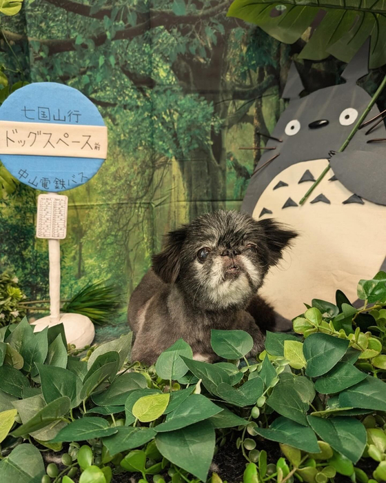 画像4069