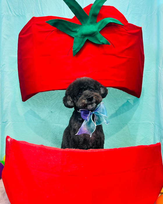 画像4252