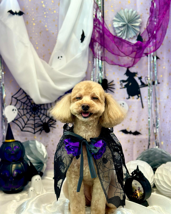 画像4779