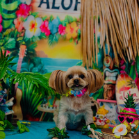 画像5430