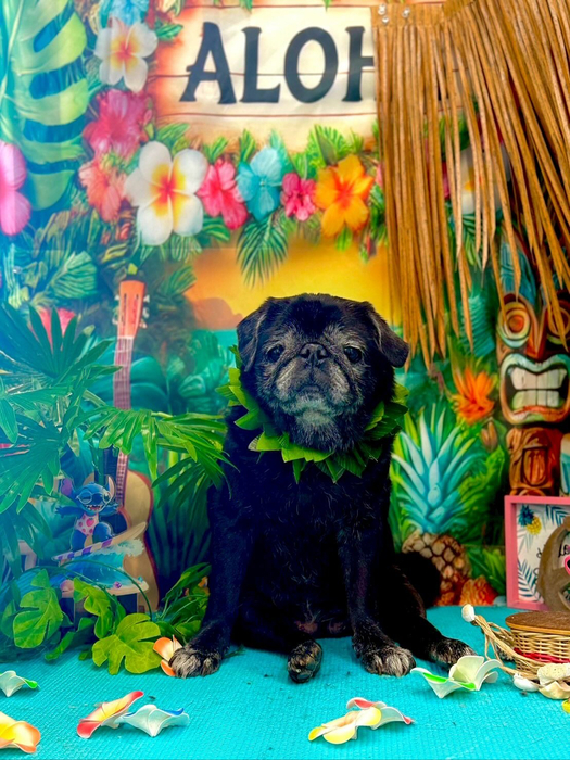 画像5432