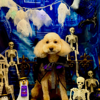 画像5833