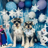 画像6329