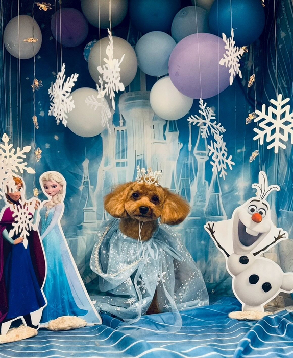 画像6371