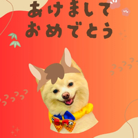 画像6476