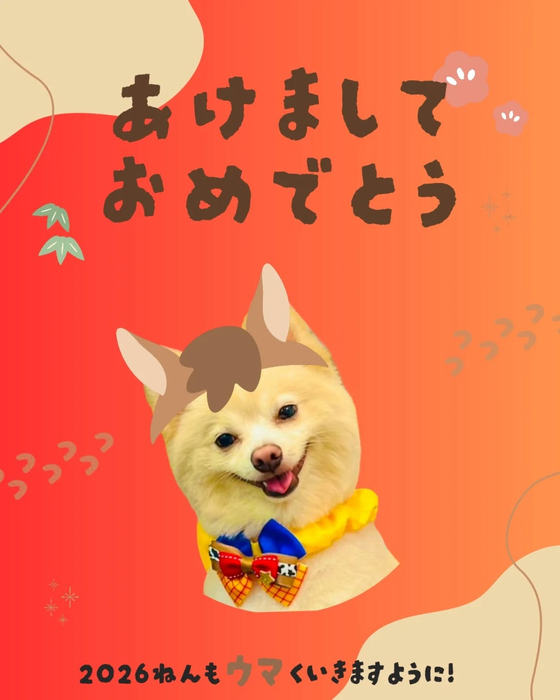 画像6476
