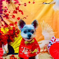 画像6478