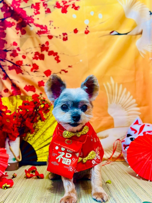 画像6478