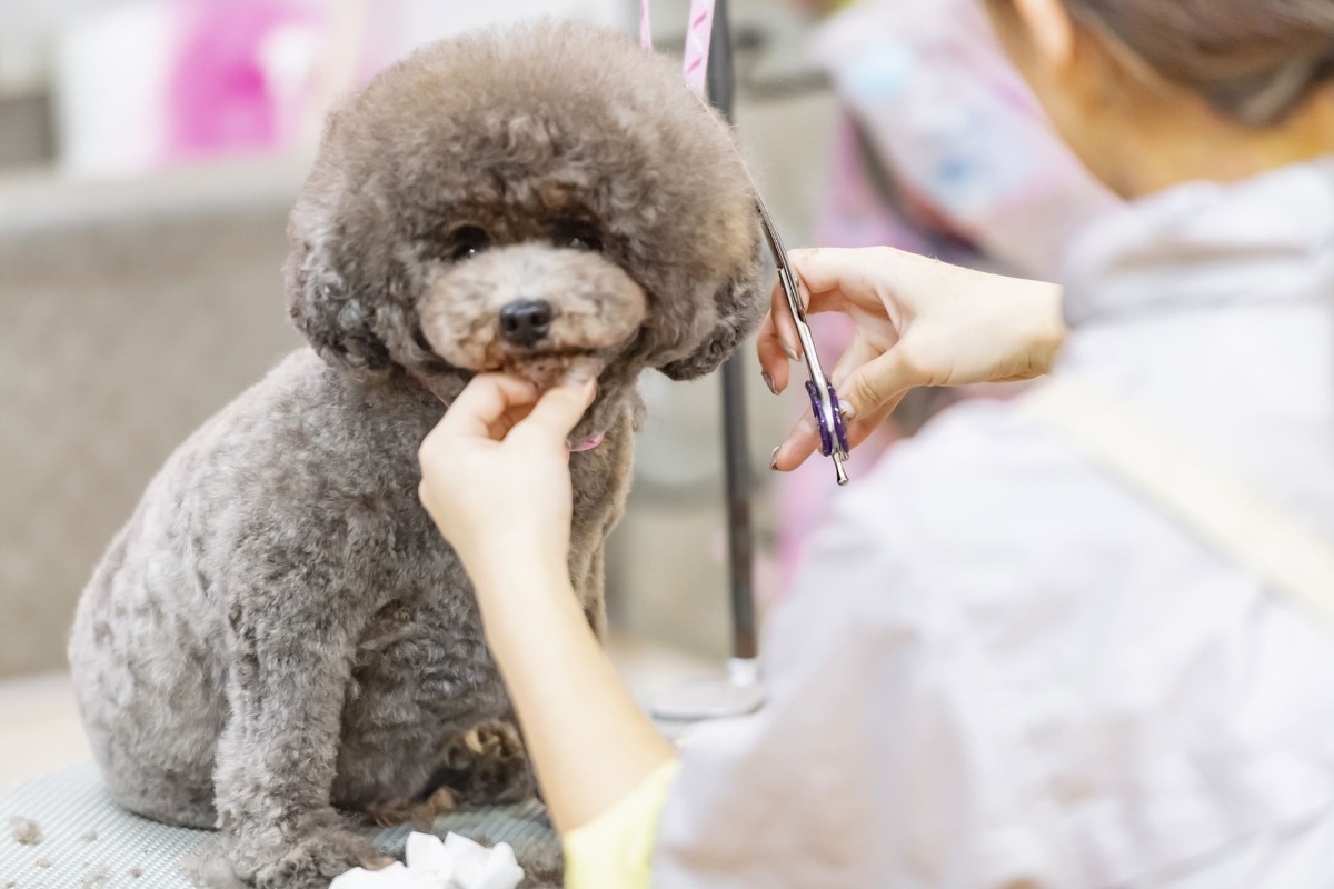 AdobeStock_319666560
